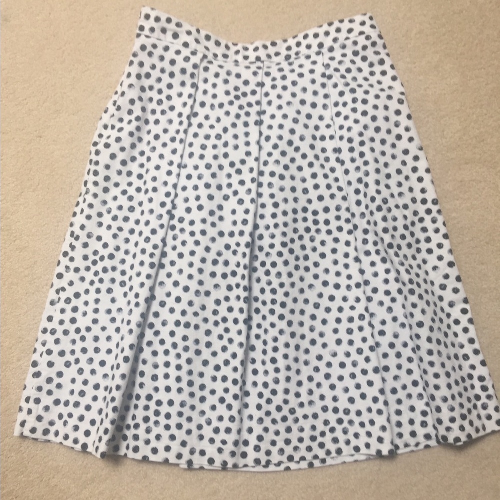 Polka Dotted A-Line Skirt.